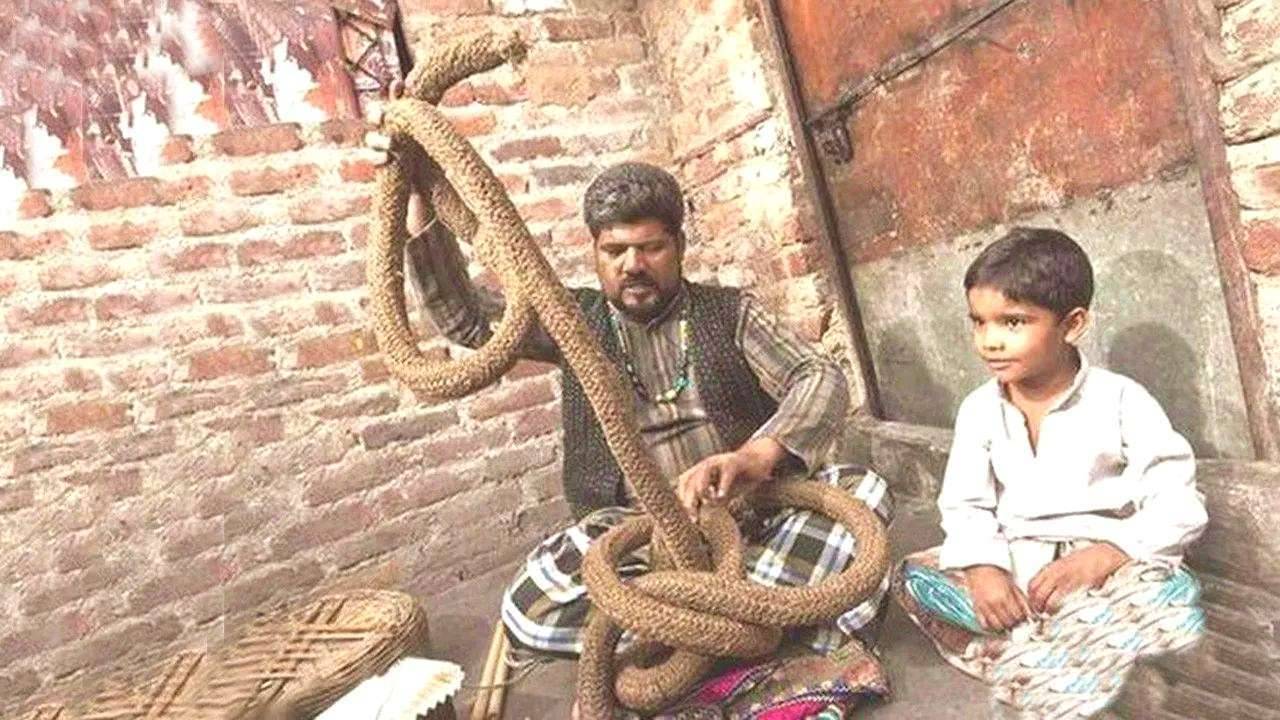 绳子魔术（印度通天绳是魔术还是法术？）-第4张图片