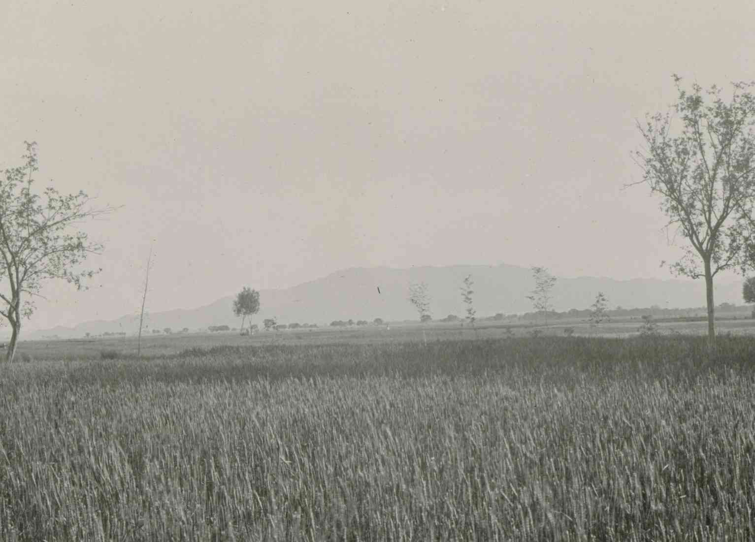 石家庄老照片（1909年张柏林在石家庄的老照片）-第9张图片