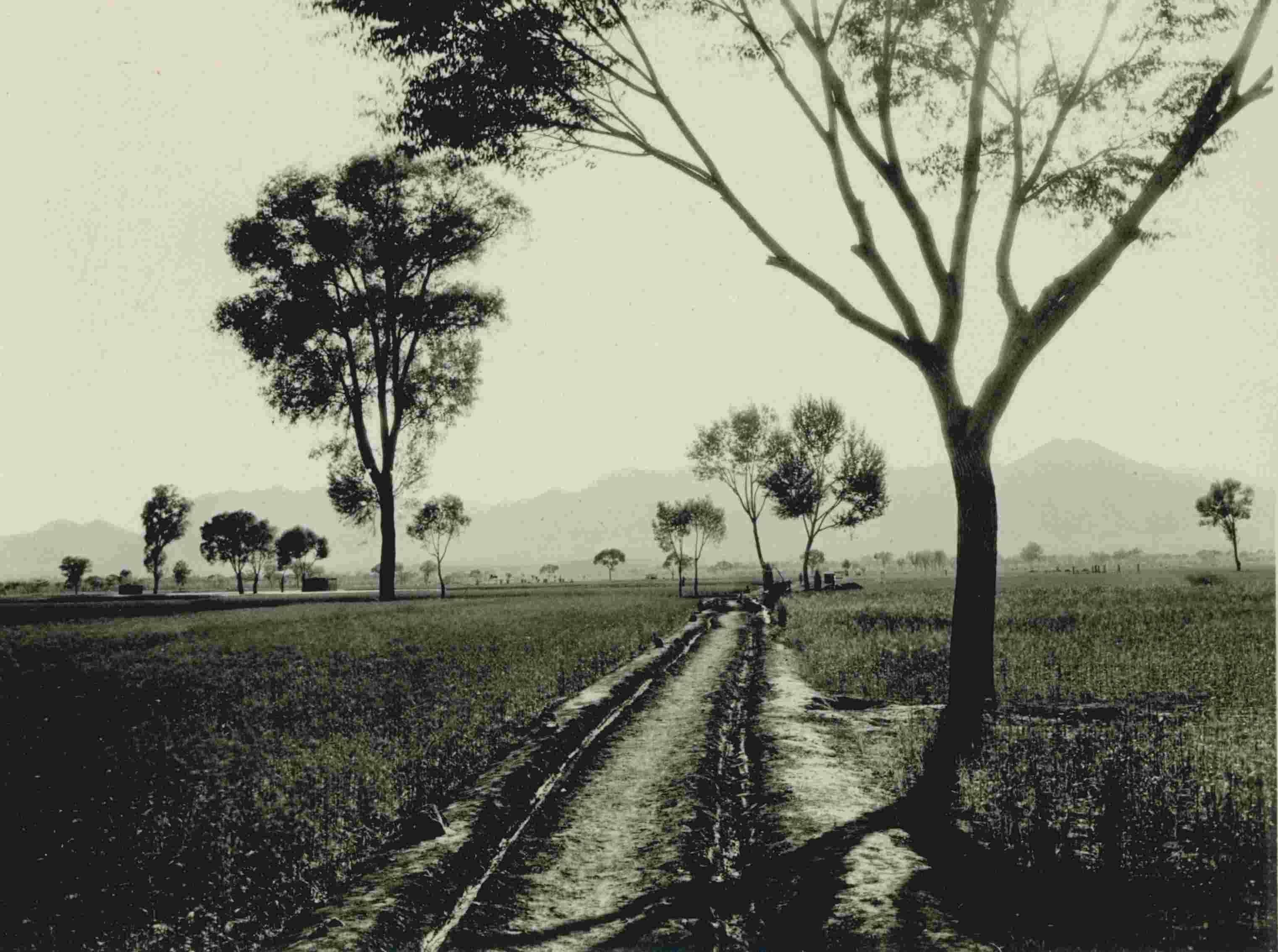 石家庄老照片（1909年张柏林在石家庄的老照片）-第10张图片
