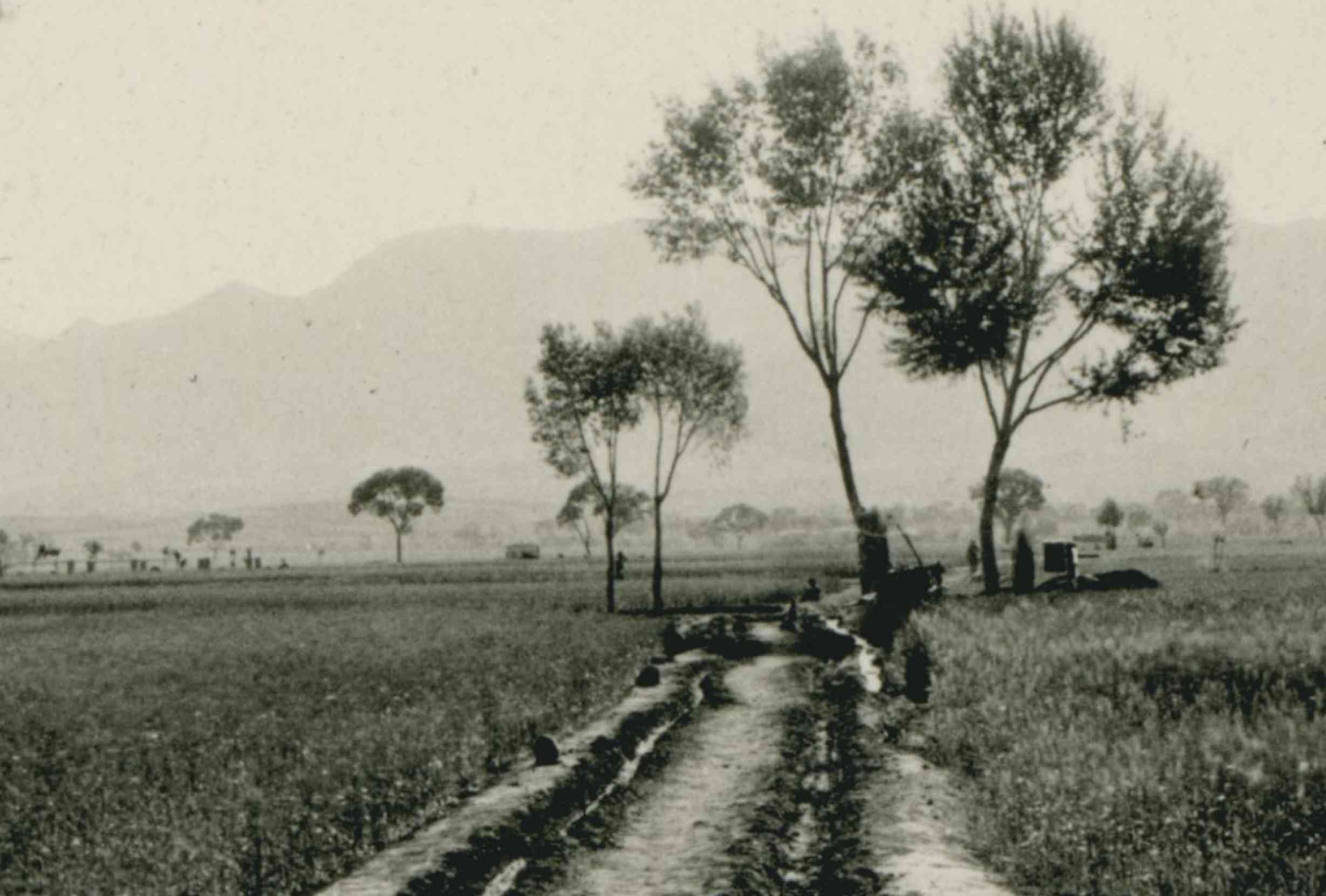 石家庄老照片（1909年张柏林在石家庄的老照片）-第11张图片