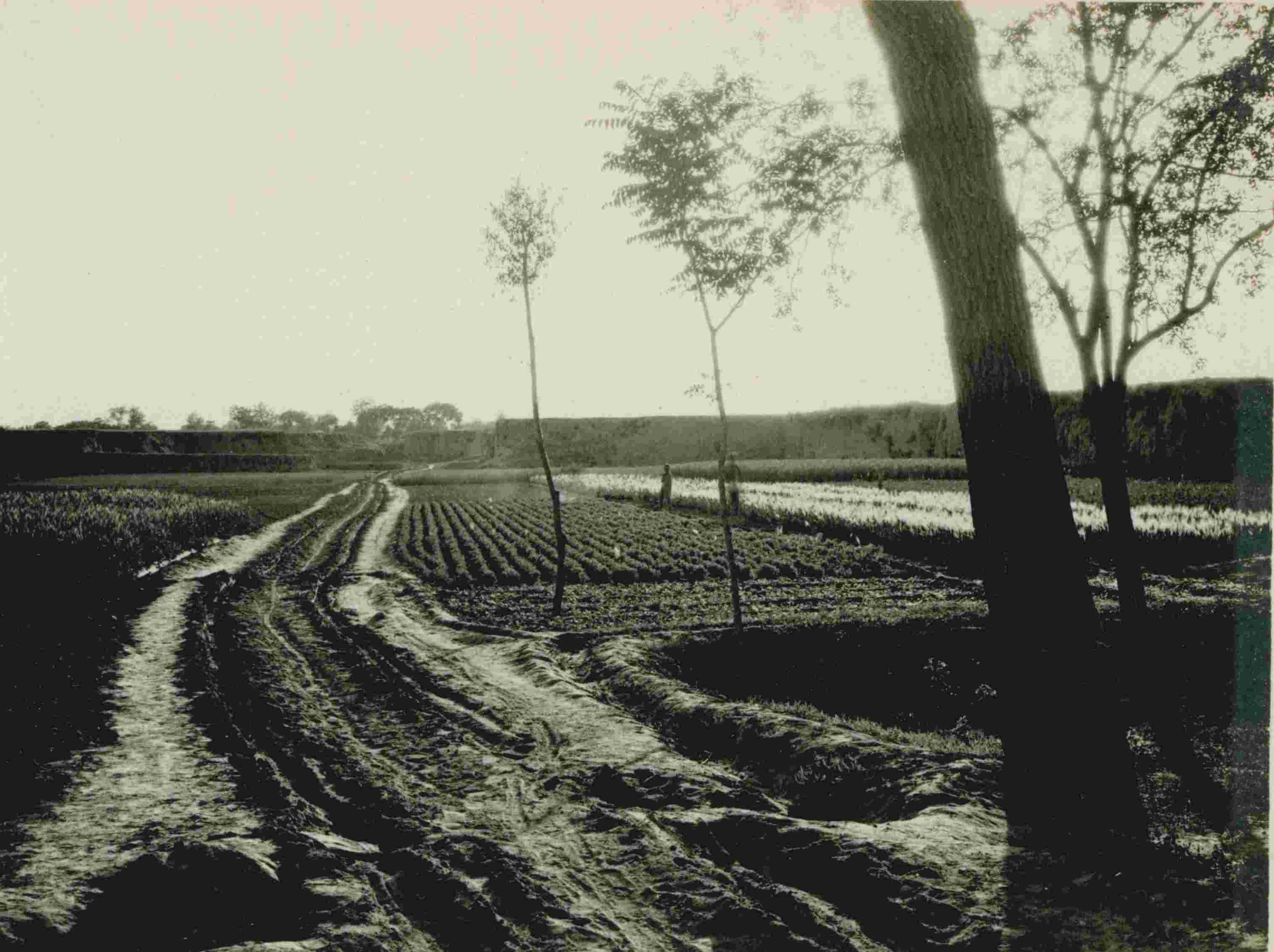 石家庄老照片（1909年张柏林在石家庄的老照片）-第14张图片