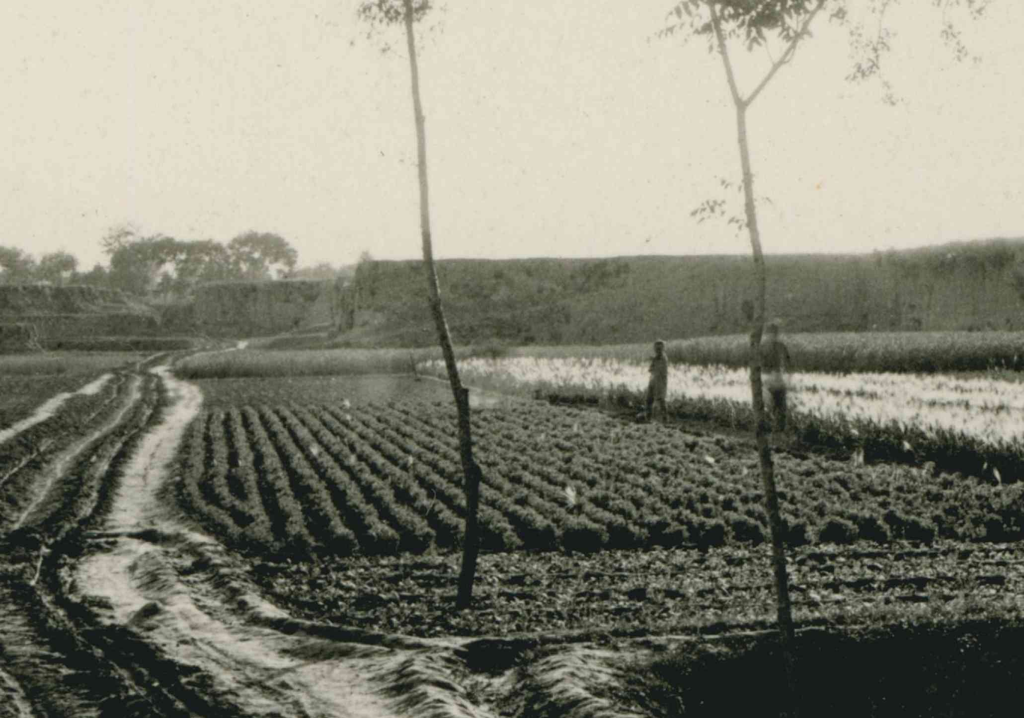 石家庄老照片（1909年张柏林在石家庄的老照片）-第15张图片