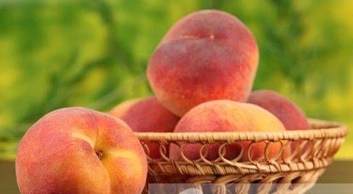 桃子属于什么种类的水果（桃子品种大全图片）-第2张图片