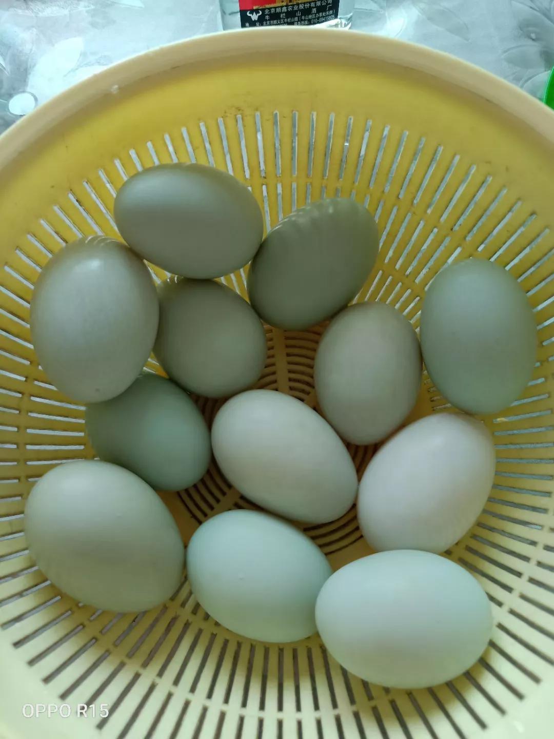 咸鸭蛋的制作方法步骤，咸鸭蛋要煮多久才熟？