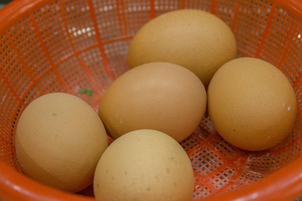 吃蛋黄有什么好处和坏处？一天吃多少鸡蛋比较好？